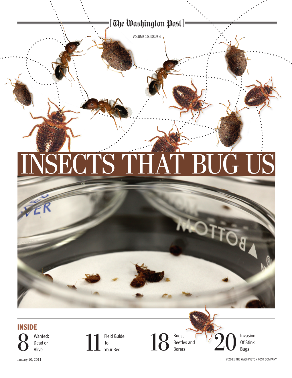 Insects That Bug Us