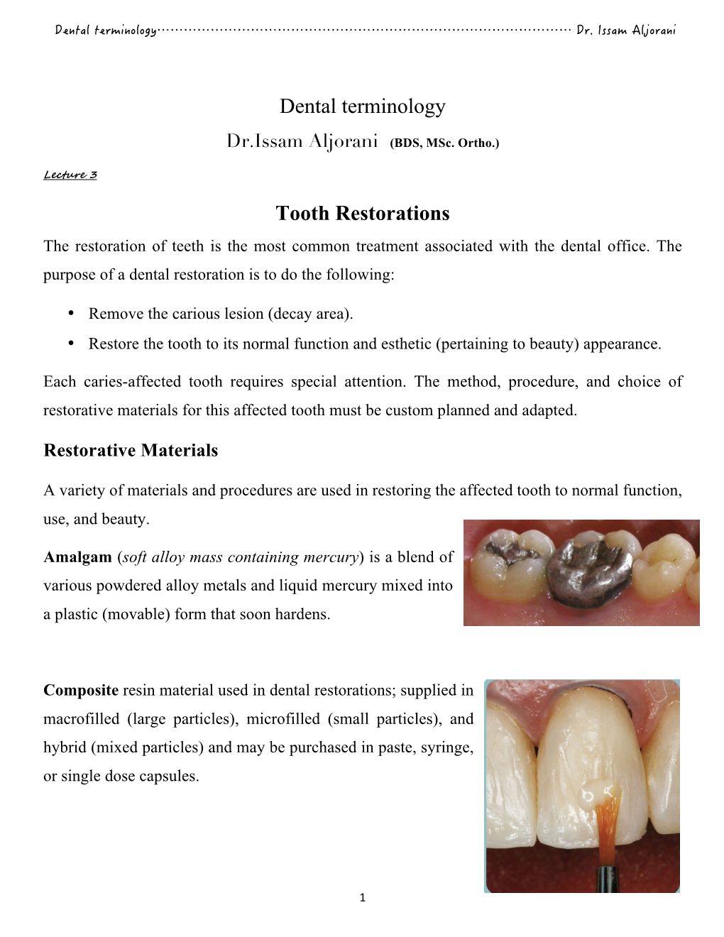 Dental Terminology Tooth Restorations