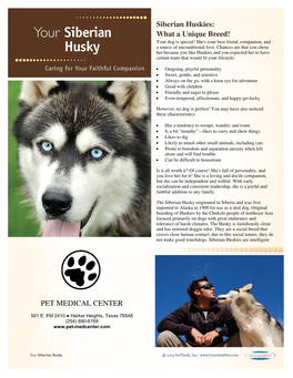 Siberian Huskies: What a Unique Breed! PET MEDICAL CENTER