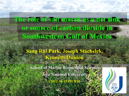 Salt Marsh As a Net Sink Or Source of Carbon Dioxide in Southwestern Gulf of Mexico