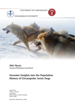 Genomic Insights Into the Population History of Circumpolar Arctic Dogs