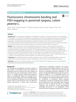 Fluorescence Chromosome Banding and FISH Mapping in Perennial Ryegrass, Lolium Perenne L