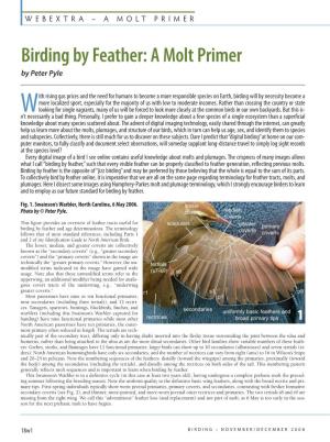 Birding by Feather: a Molt Primer by Peter Pyle