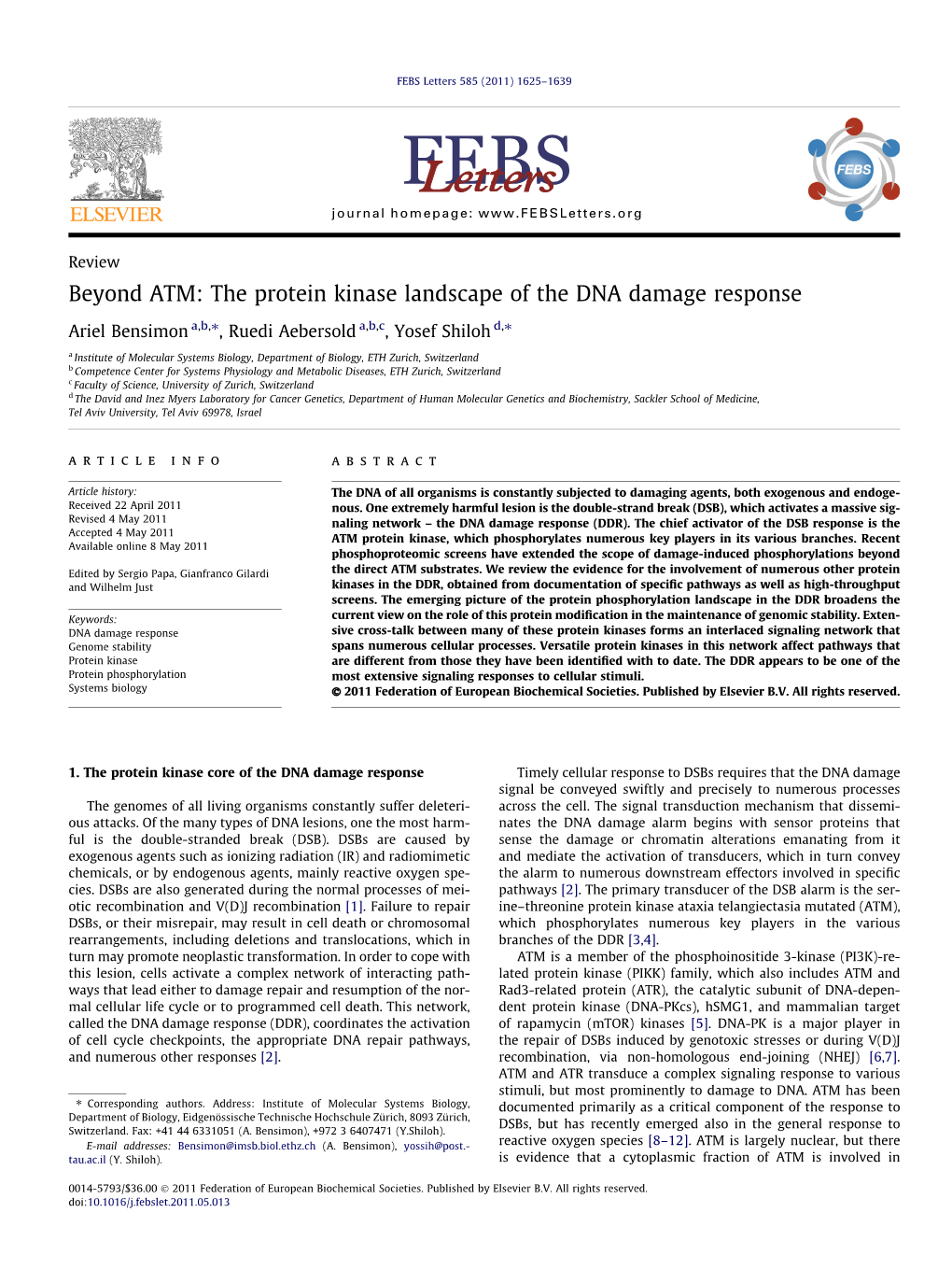 Beyond ATM: the Protein Kinase Landscape of the DNA Damage Response