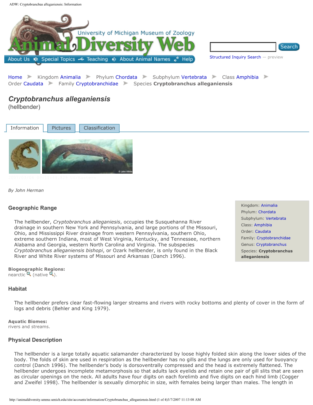 ADW Cryptobranchus Alleganiensis Information