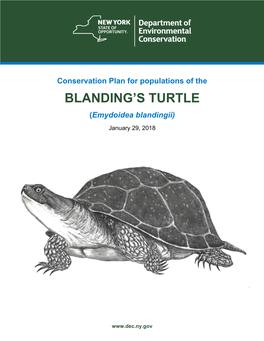 Conservation Plan for Populations of the Blanding's Turtle (PDF)