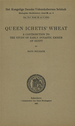 Queen Ichetis' Wheat