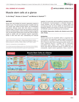 Muscle Stem Cells at a Glance