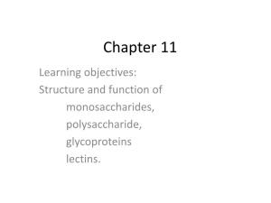 Chapter 11 Learning Objectives: Structure and Function of Monosaccharides, Polysaccharide, Glycoproteins Lectins