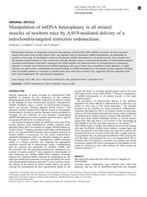 Manipulation of Mtdna Heteroplasmy in All Striated Muscles of Newborn Mice by AAV9-Mediated Delivery of a Mitochondria-Targeted Restriction Endonuclease