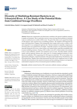 Diversity of Multidrug-Resistant Bacteria in an Urbanized River: a Case Study of the Potential Risks from Combined Sewage Overﬂows
