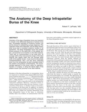 The Anatomy of the Deep Infrapatellar Bursa of the Knee Robert F
