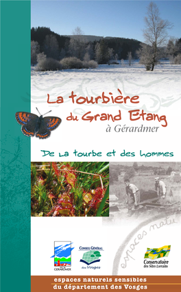 La Tourbière Du Grand Etang À Gérardmer