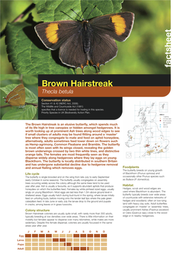 Brown Hairstreak Species Factsheet