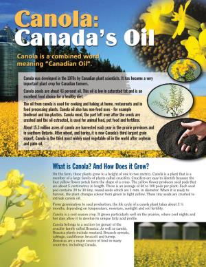 What Is Canola? and How Does It Grow? on the Farm, These Plants Grow to a Height of One to Two Metres
