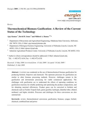 Thermochemical Biomass Gasification: a Review of the Current Status of the Technology