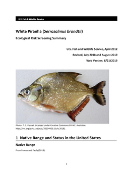 Serrasalmus Brandtii (White Piranha) Ecological Risk Screening Summary