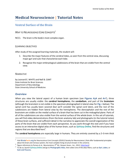 01 08 Ventral Surface of the Brain-NOTES.Pdf