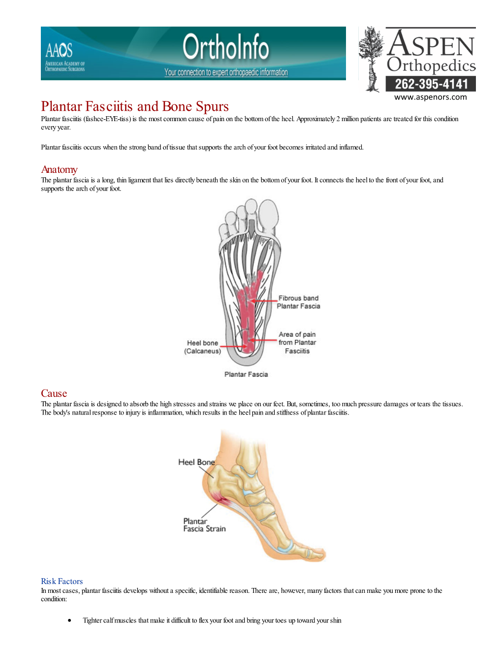 Plantar Fasciitis and Bone Spurs Plantar Fasciitis (Fashee-EYE-Tiss) Is the Most Common Cause of Pain on the Bottom of the Heel