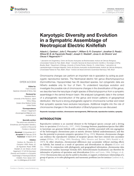 Karyotypic Diversity and Evolution in a Sympatric Assemblage of Neotropical Electric Knifeﬁsh