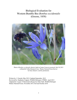 Biological Evaluation for Western Bumble Bee Bombus Occidentalis (Greene, 1858)