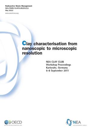 Clay Characterisation from Nanoscopic to Microscopic Resolution