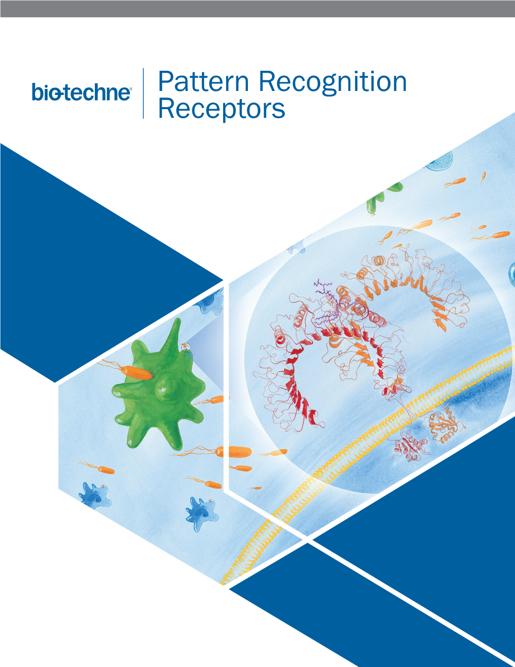 Pattern Recognition Receptors Pattern Recognition Receptors Pattern Recognition Receptors (Prrs) Are Select Pattern Recognition Receptor Agonists