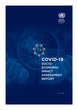 Covid-19 Socio- Economic Impact Assessment Report