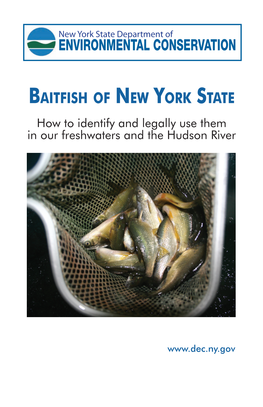 BAITFISH of NEW YORK STATE How to Identify and Legally Use Them in Our Freshwaters and the Hudson River