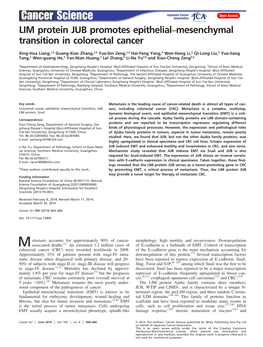 LIM Protein JUB Promotes Epithelialmesenchymal Transition in Colorectal Cancer