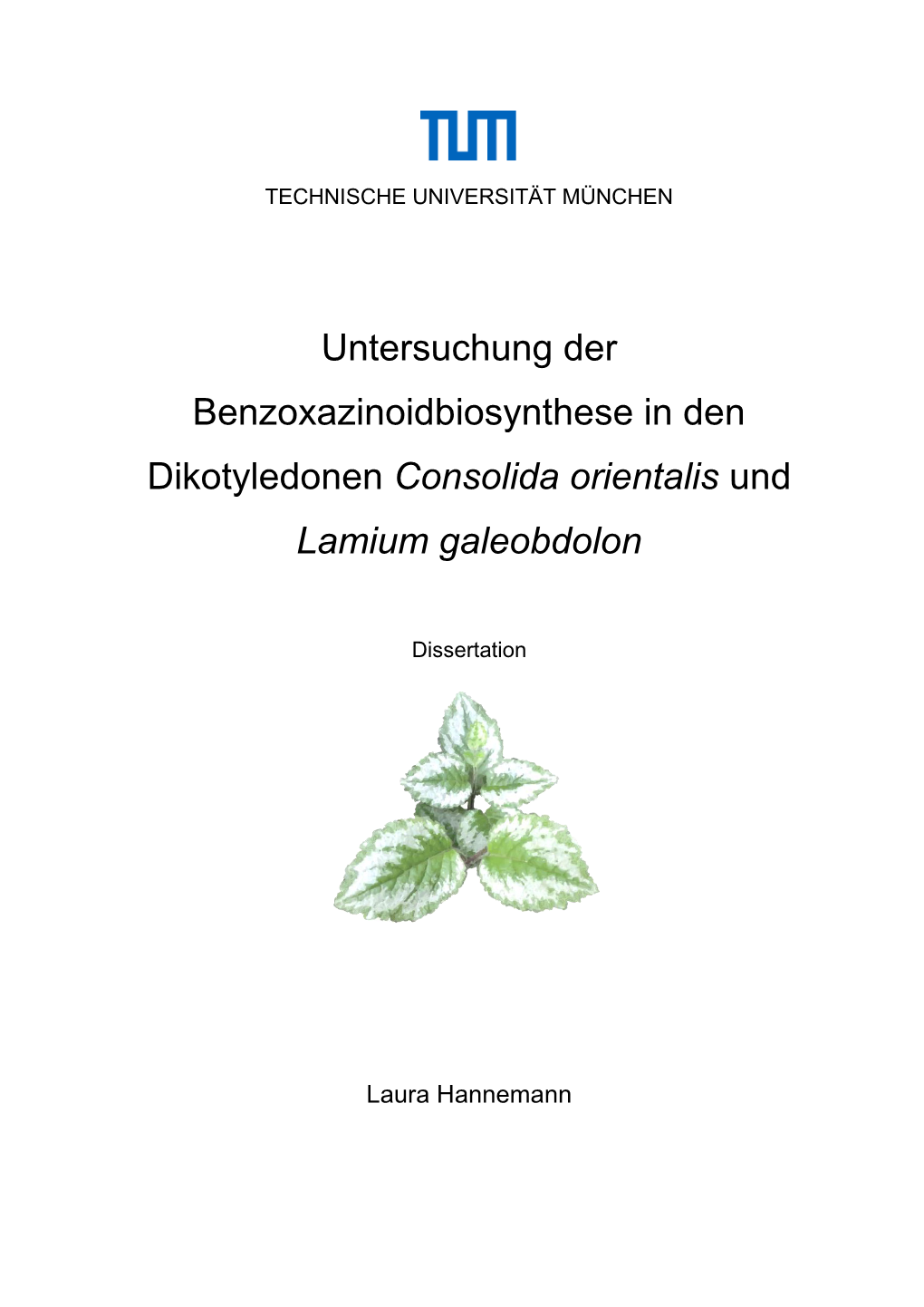 Untersuchung Der Benzoxazinoidbiosynthese in Den Dikotyledonen Consolida Orientalis Und Lamium Galeobdolon
