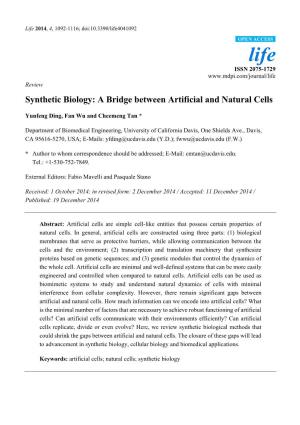 Synthetic Biology: a Bridge Between Artificial and Natural Cells
