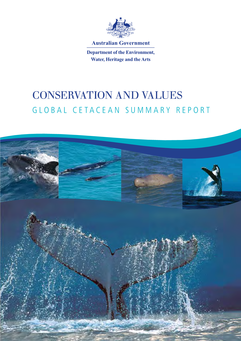 Global Cetacean Summary Report