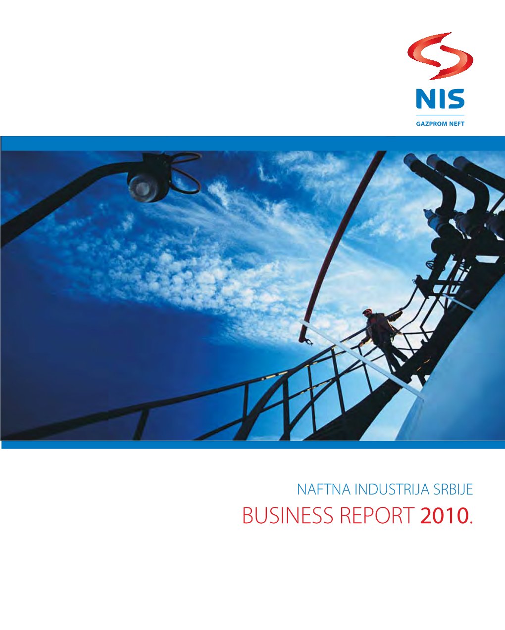 BUSINESS REPORT 2010. Contents