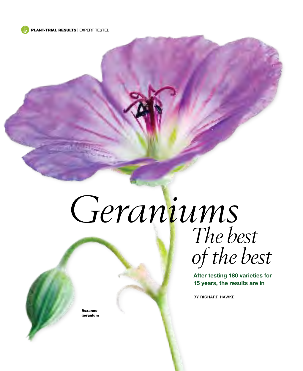 Geraniums the Best of the Best After Testing 180 Varieties for 15 Years, the Results Are In