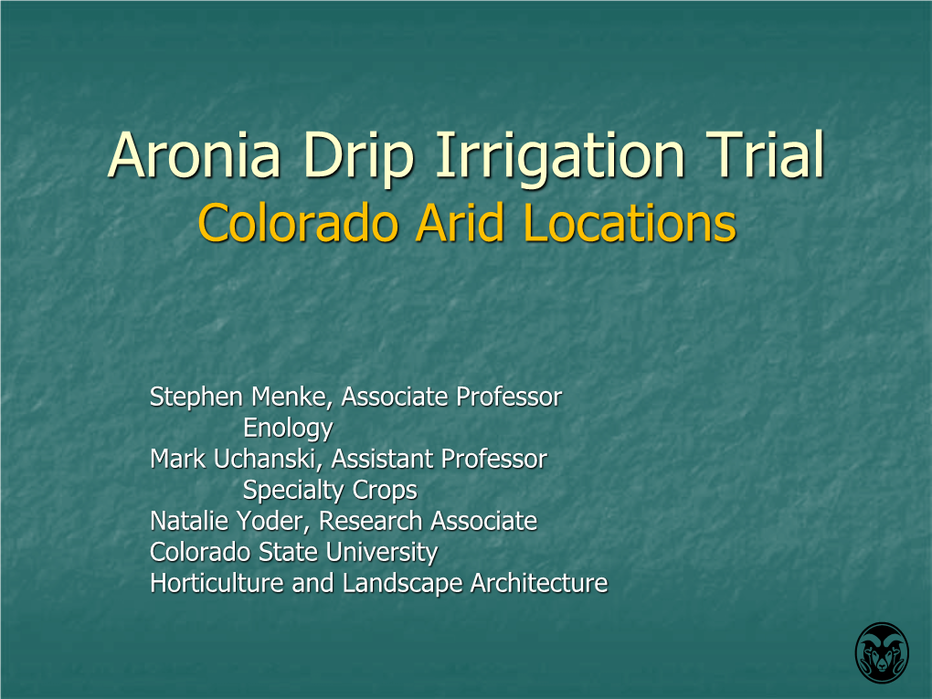 Aronia Drip Irrigation Trial Colorado Arid Locations