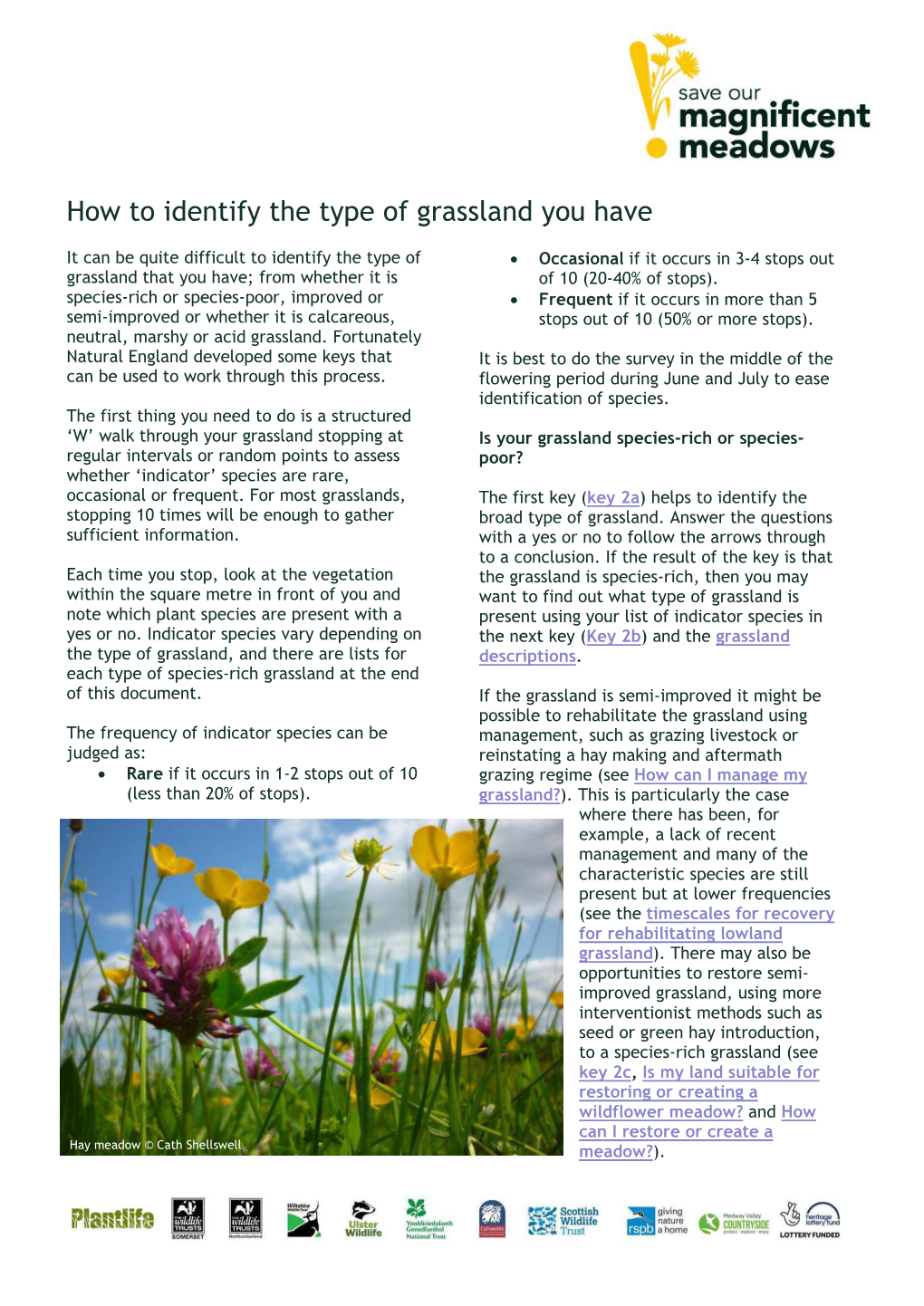 How to Identify the Type of Grassland You Have