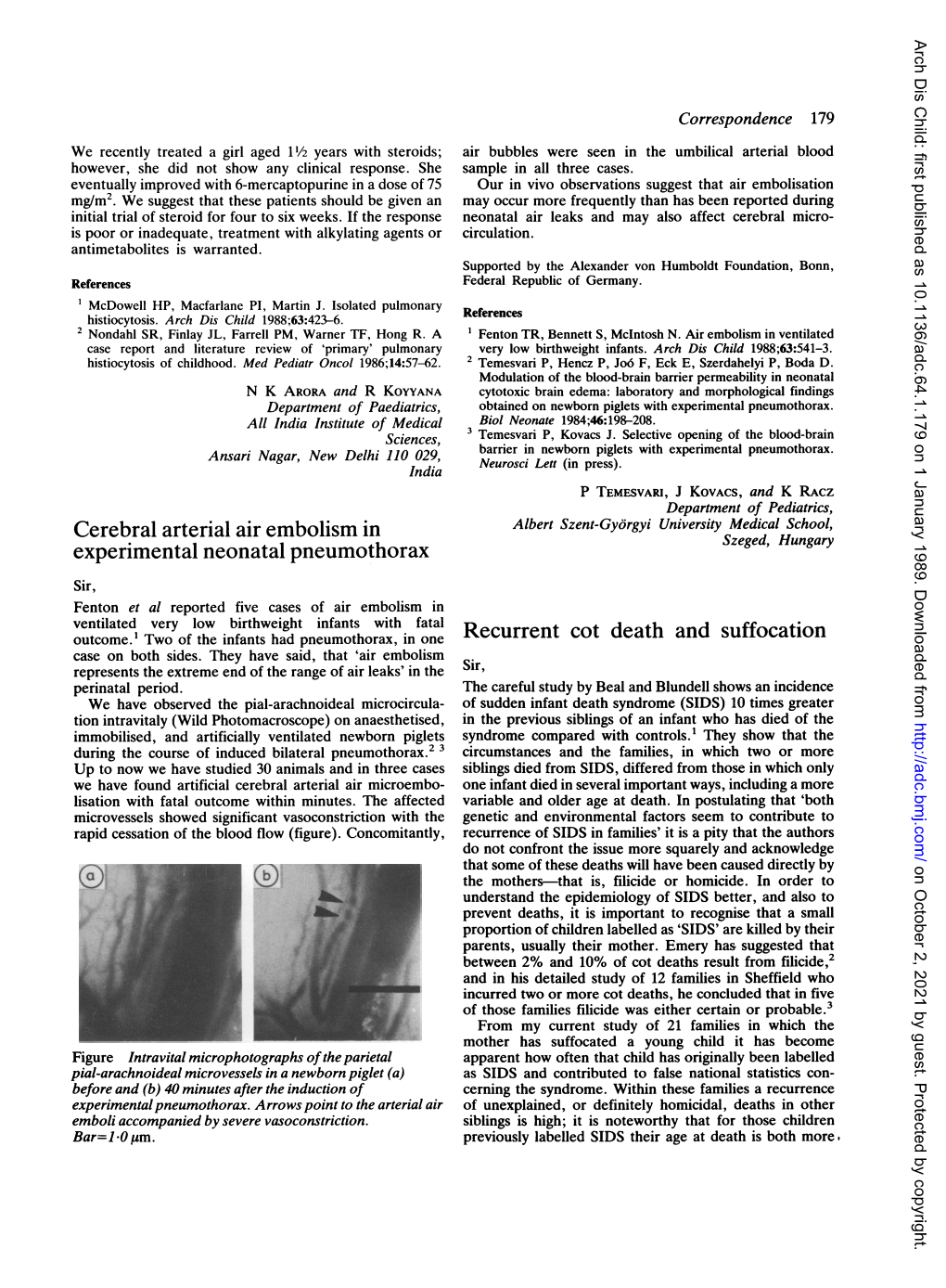 Cerebral Arterial Air Embolism in Experimental Neonatal