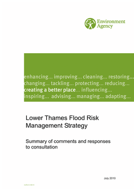Lower Thames Flood Risk Management Strategy
