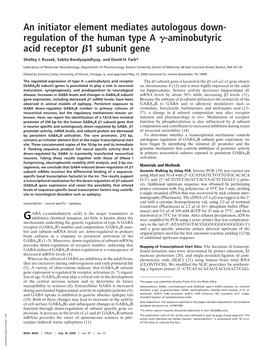 An Initiator Element Mediates Autologous Down- Regulation of the Human Type a ␥-Aminobutyric Acid Receptor ␤1 Subunit Gene