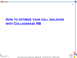 How to Optimize Your Cell Isolation with Collagenase Nb