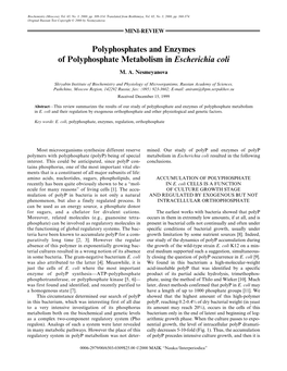 Polyphosphates and Enzymes of Polyphosphate Metabolism in Escherichia Coli