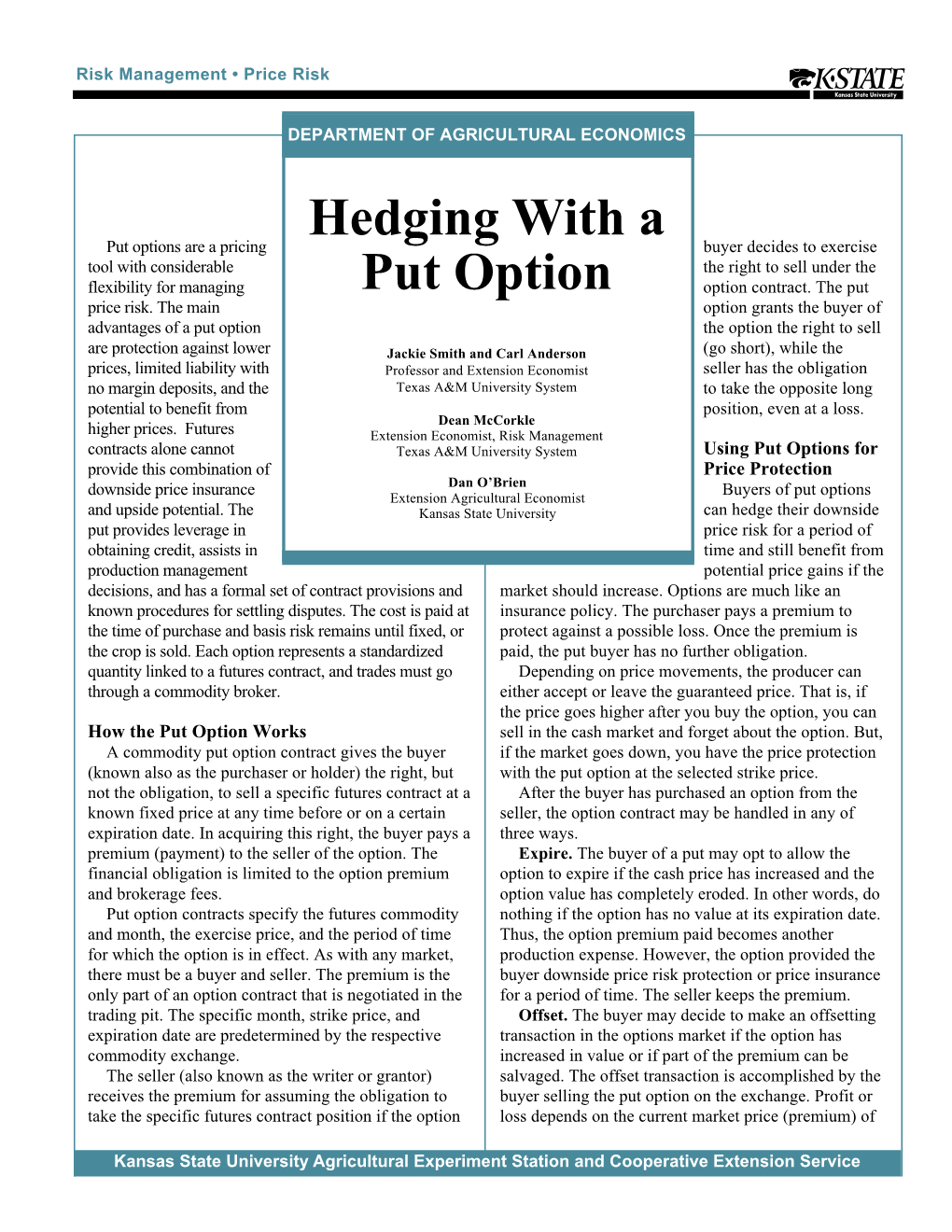 Hedging with a Put Option