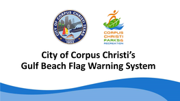 City of Corpus Christi's Gulf Beach Flag Warning System