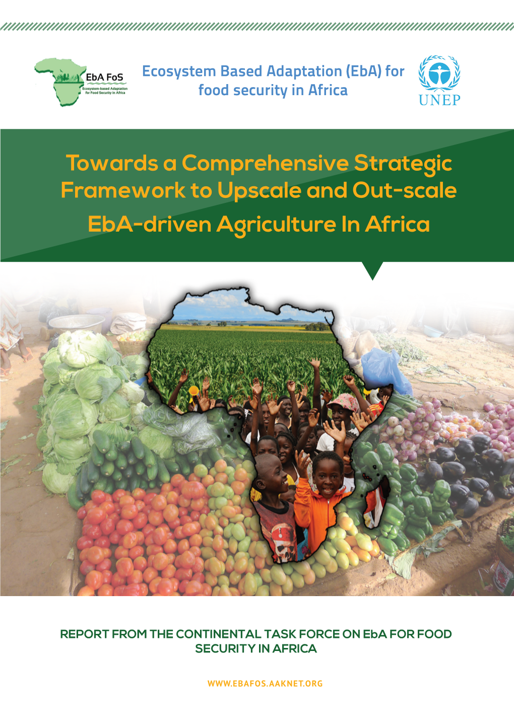 Towards a Comprehensive Strategic Framework to Upscale and Out-Scale Eba-Driven Agriculture in Africa