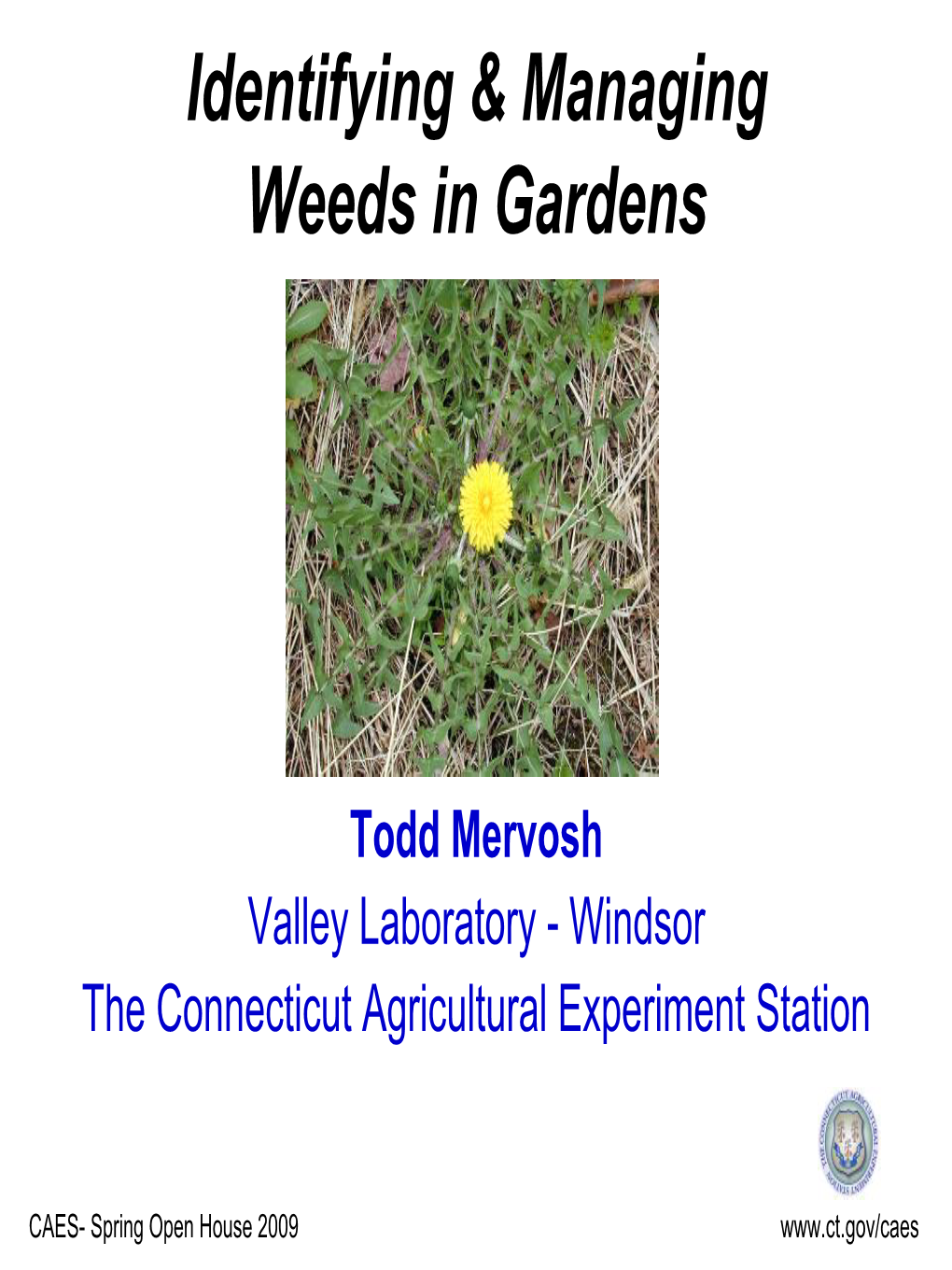 Identifying & Managing Weeds in Gardens