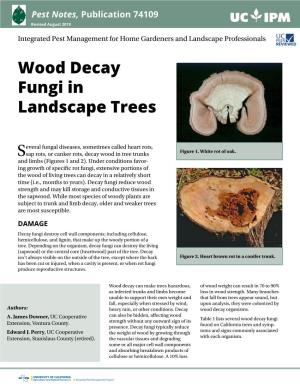 Wood Decay Fungi in Landscape Trees