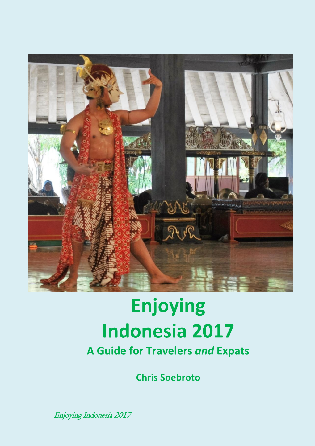 Enjoying Indonesia 2017 a Guide for Travelers and Expats