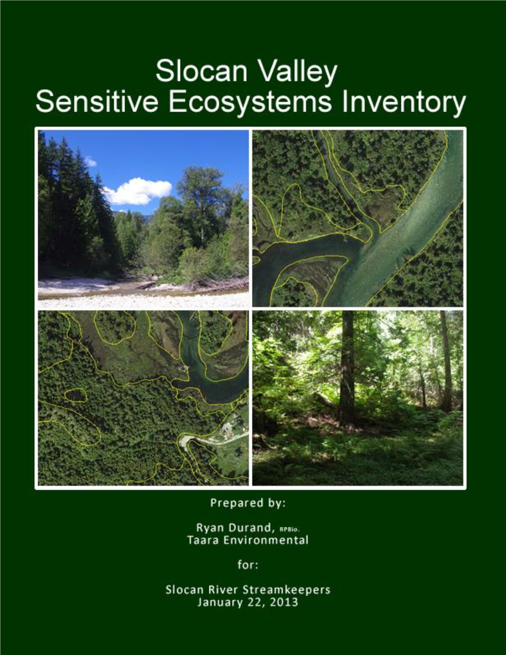 Slocan Valley Sensitive Ecosystems Inventory