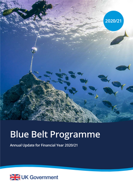Blue Belt Annual Report 2021